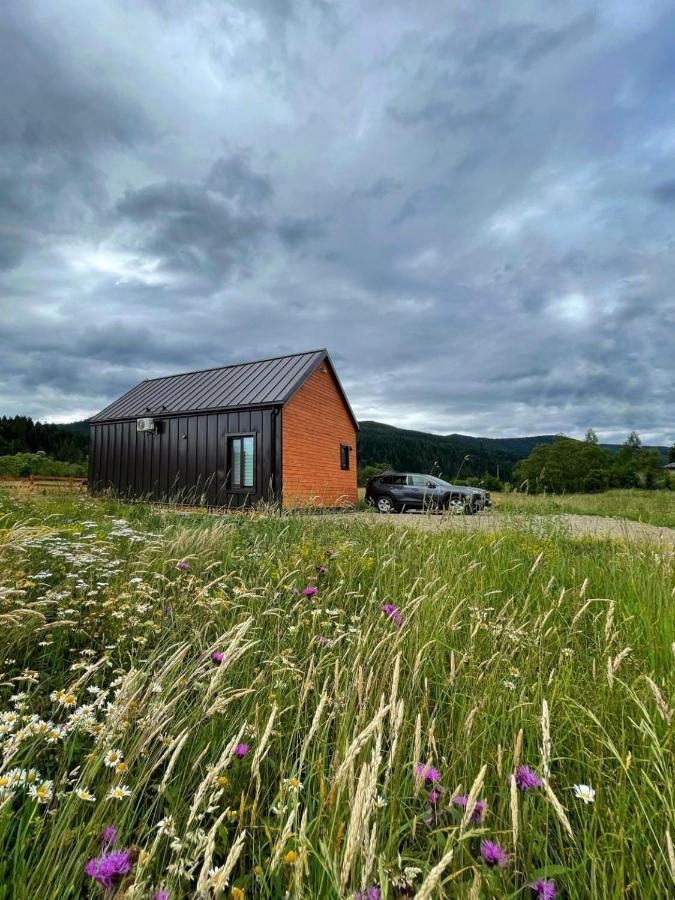 Barn S&S House Villa Mykulychyn Exterior foto